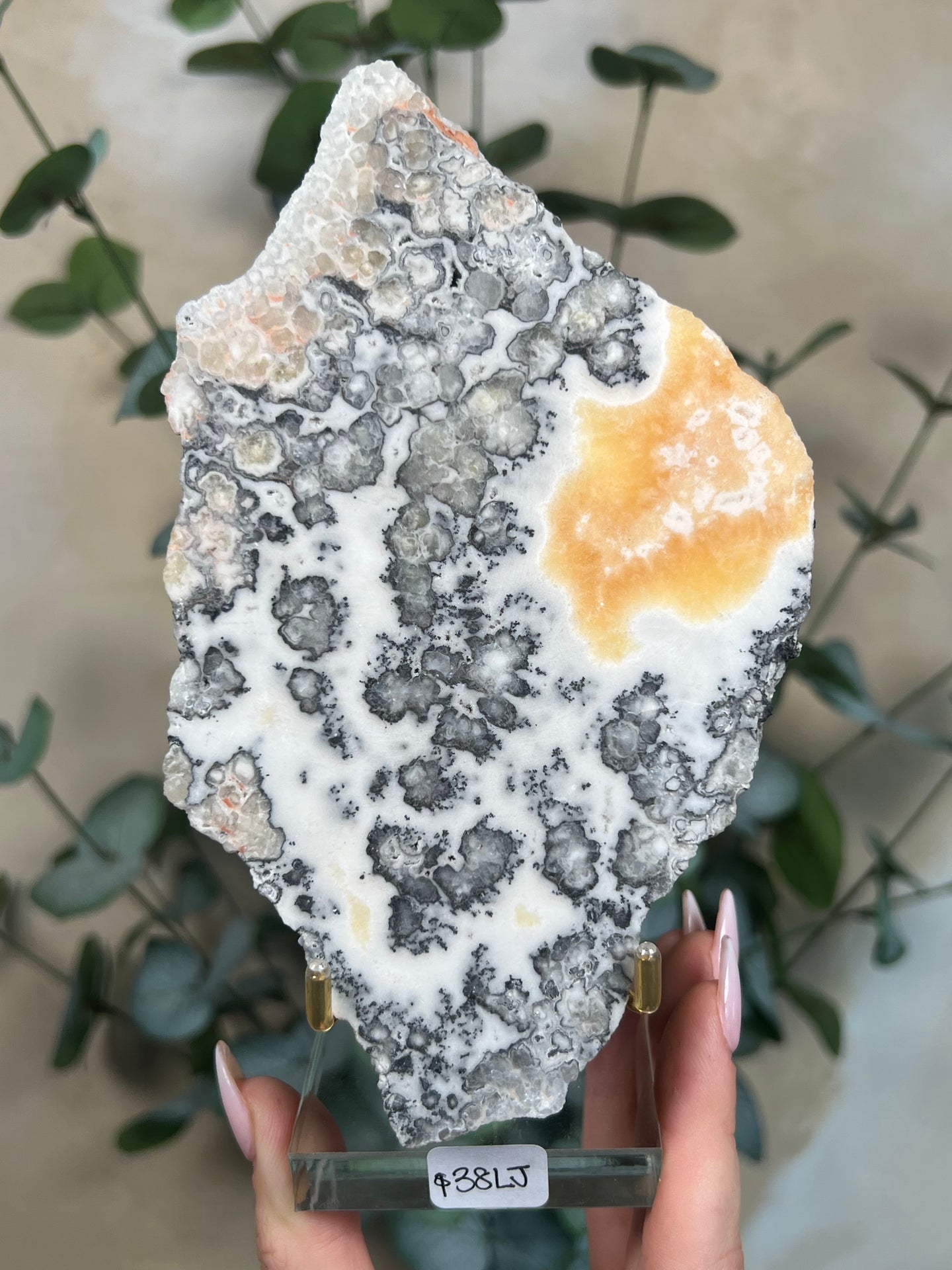 Zebra Calcite Slabs with Stands (4 options)